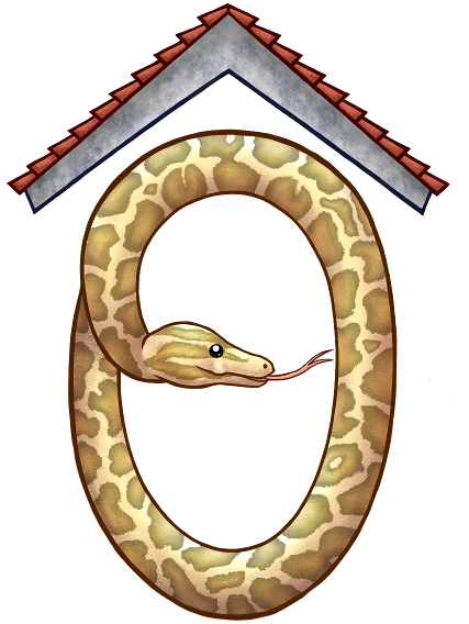 Библиотека Plotly — построение интерактивных графиков